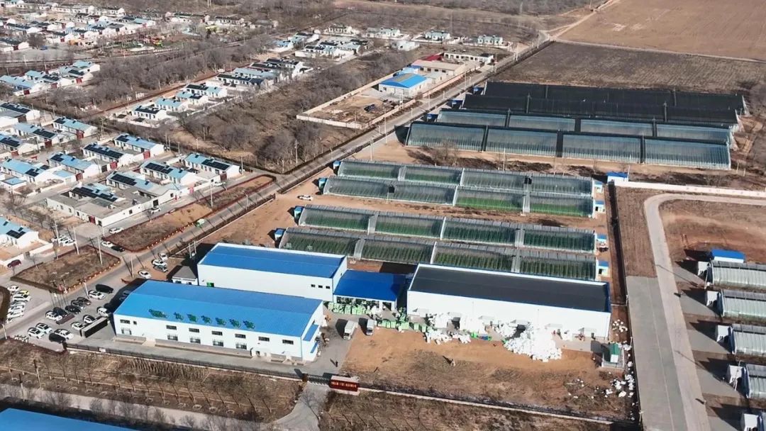 ΢��ͼƬ_20250106105355