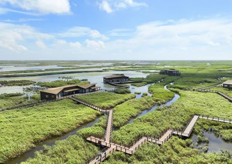 ȫ���׸�NbS�����������Ϻ�����