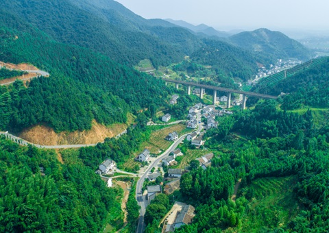 ���γ�500��Ķ����������Ͷ��196�ڣ�����ʡ2025������22��ȫ�������ۺ�������Ŀ����